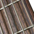 bass guitar